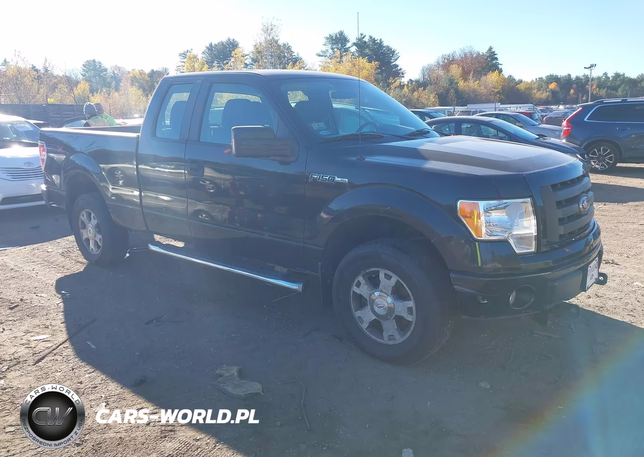 2010 Ford F-150 Stx-Xl