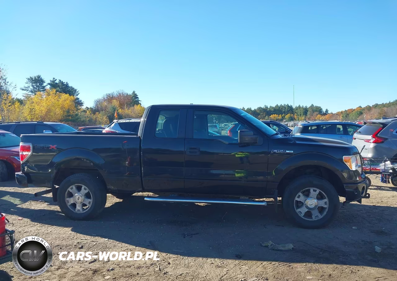 2010 Ford F-150 Stx-Xl VIN:1FTEX1EW4AKE81588 - 13