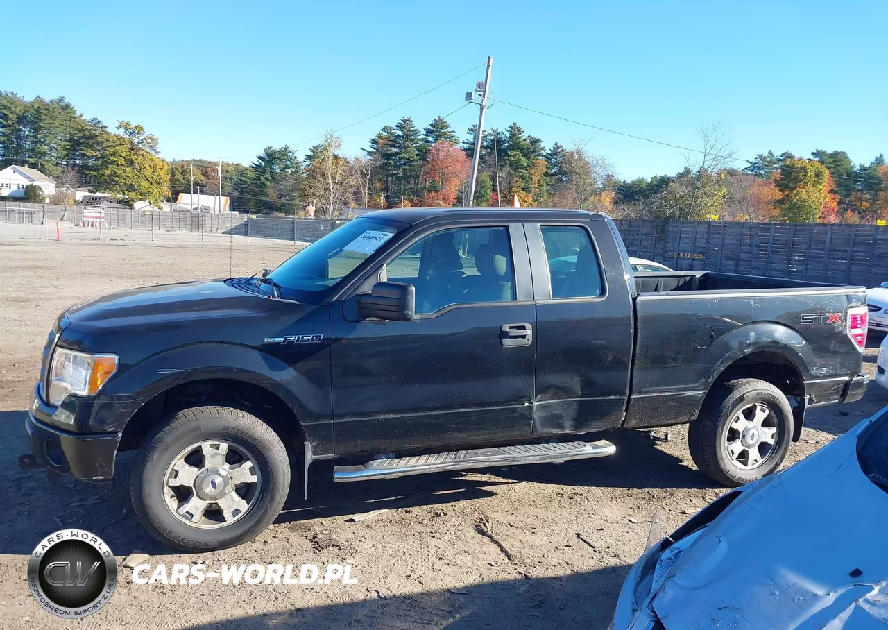 2010 Ford F-150 Stx-Xl VIN:1FTEX1EW4AKE81588 - 14