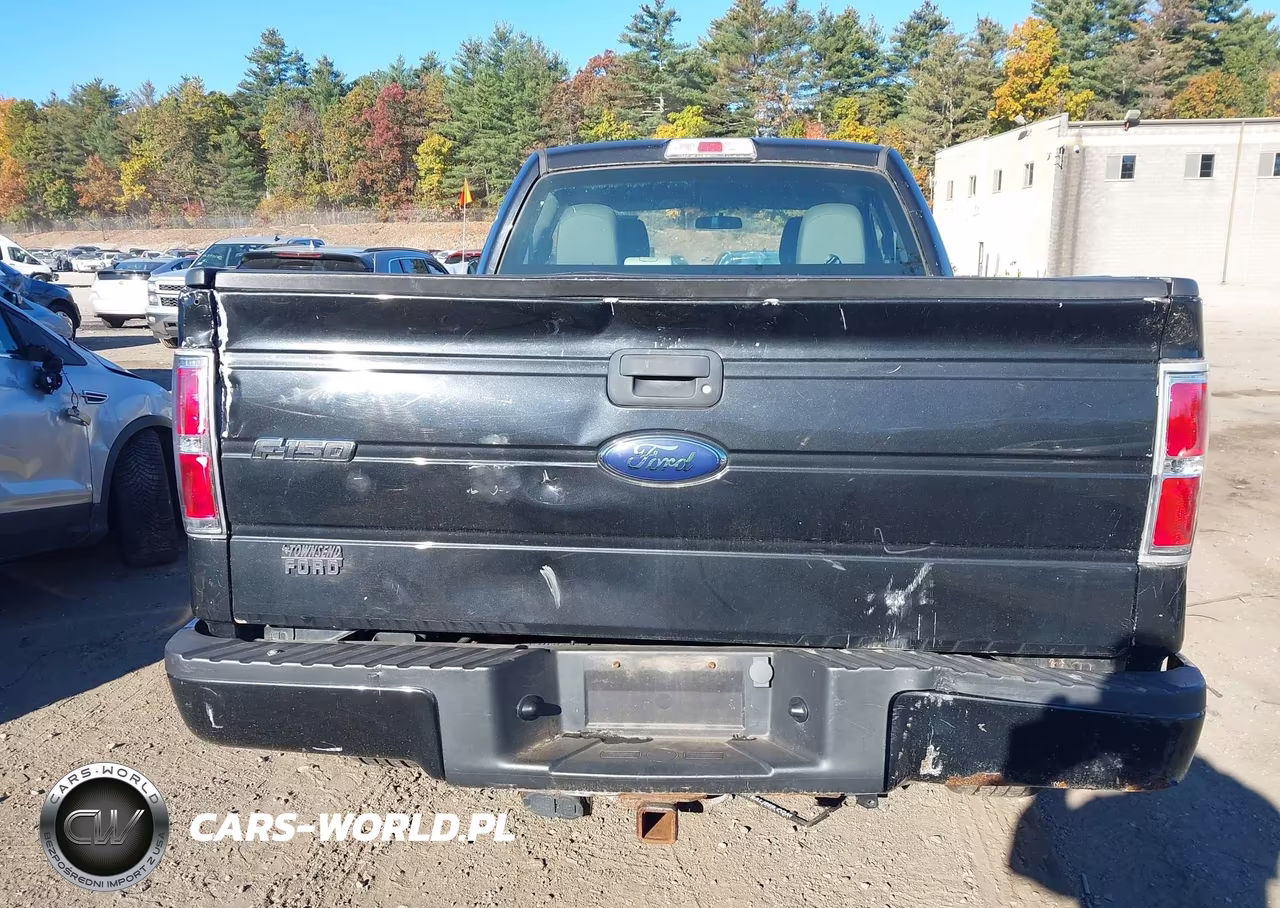 2010 Ford F-150 Stx-Xl VIN:1FTEX1EW4AKE81588 - 16