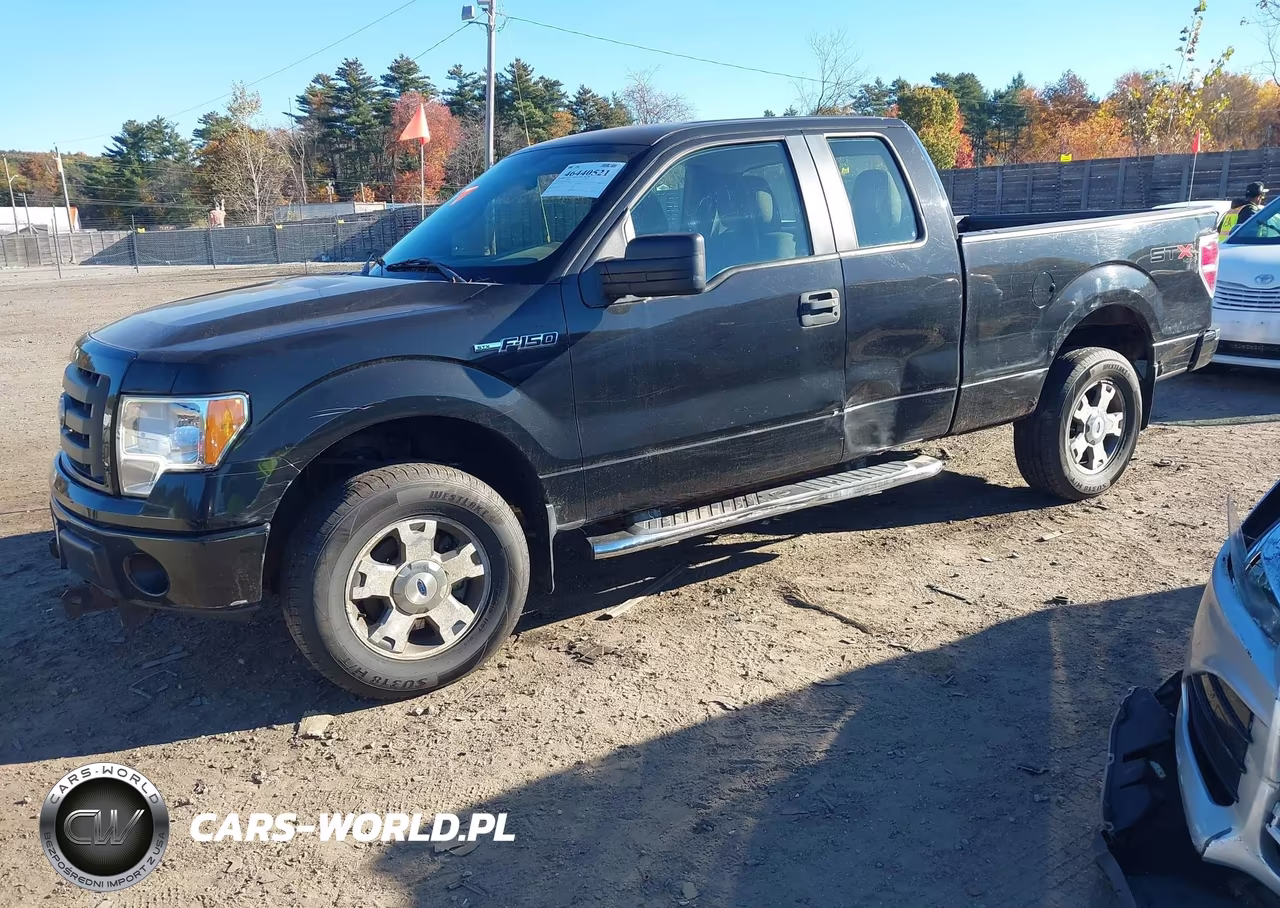 2010 Ford F-150 Stx-Xl VIN:1FTEX1EW4AKE81588 - 2