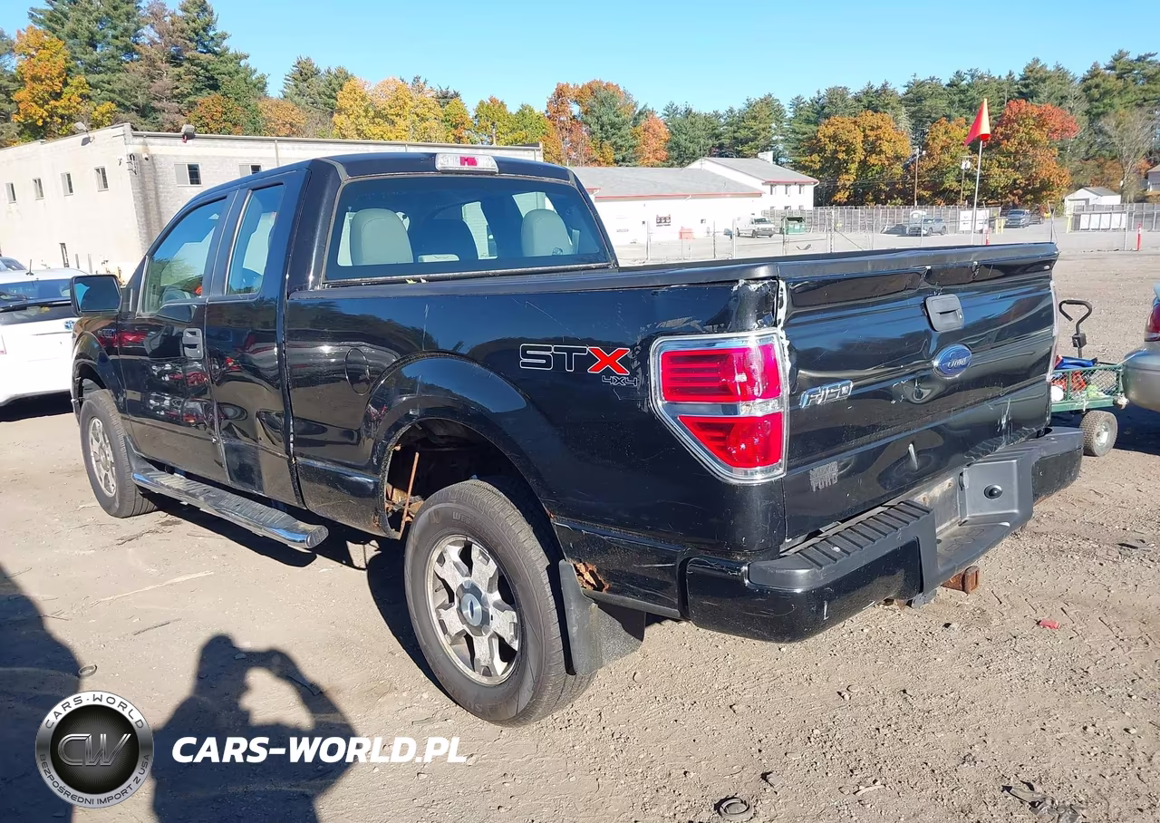 2010 Ford F-150 Stx-Xl VIN:1FTEX1EW4AKE81588 - 3