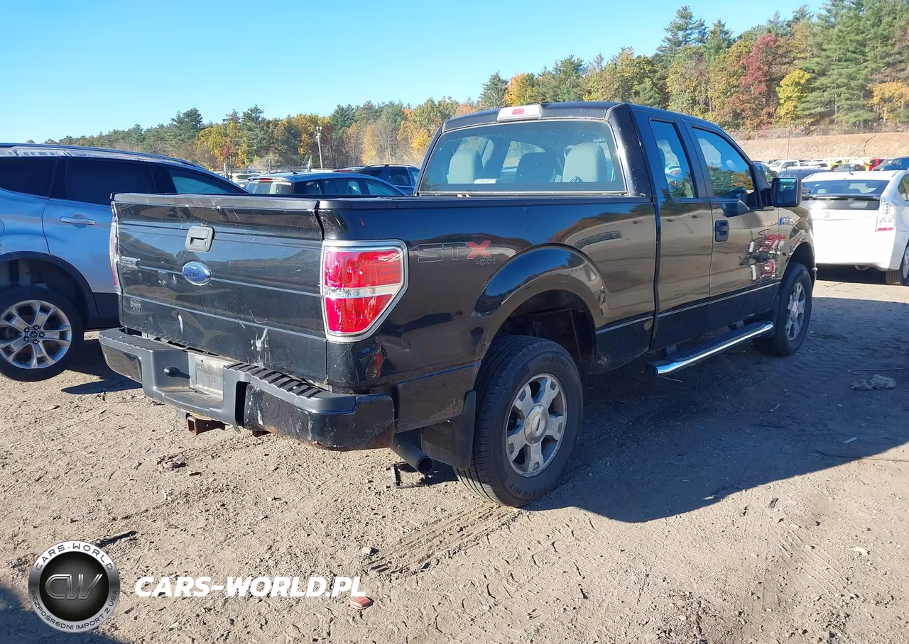 2010 Ford F-150 Stx-Xl VIN:1FTEX1EW4AKE81588 - 4