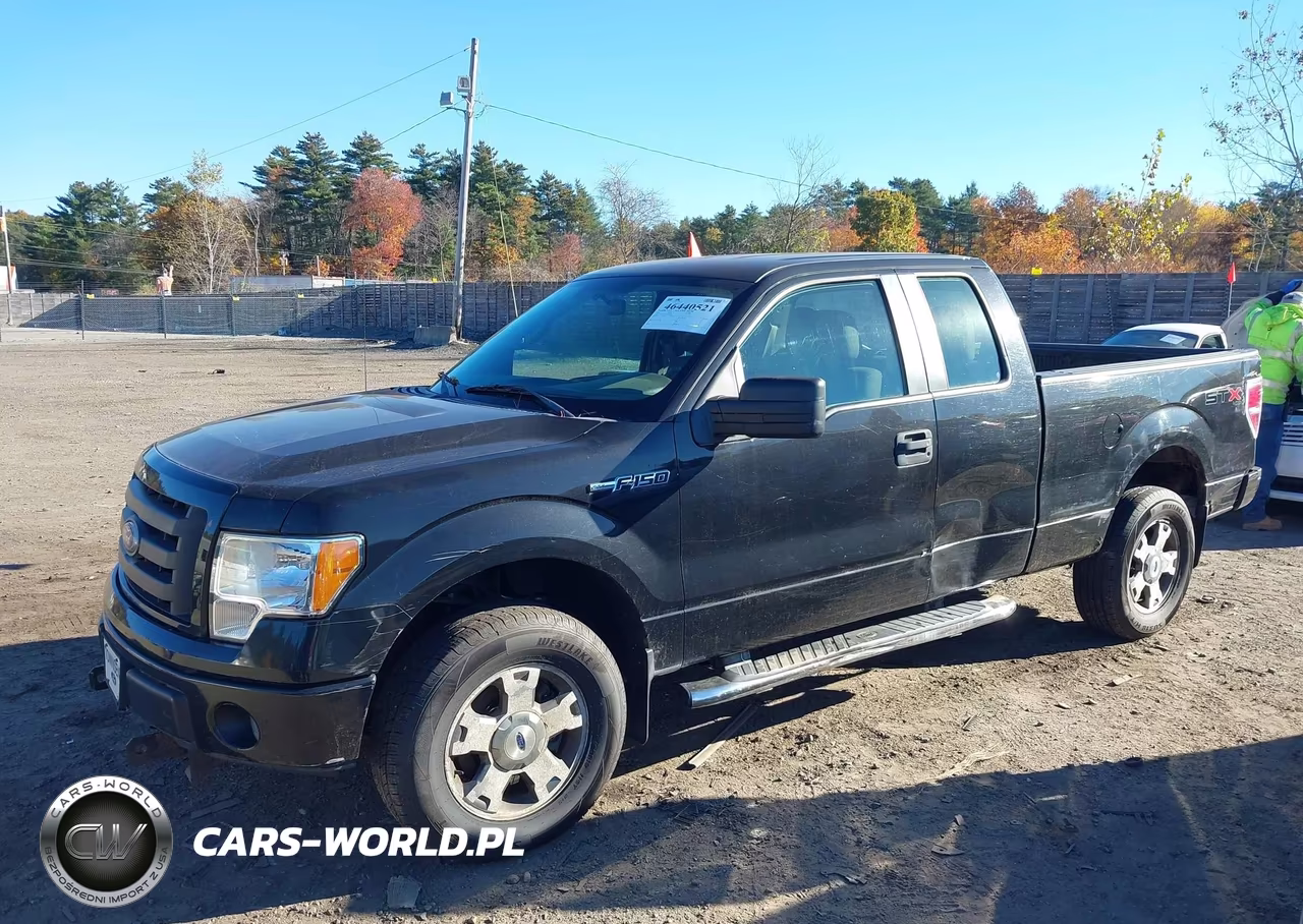 2010 Ford F-150 Stx-Xl VIN:1FTEX1EW4AKE81588 - 6