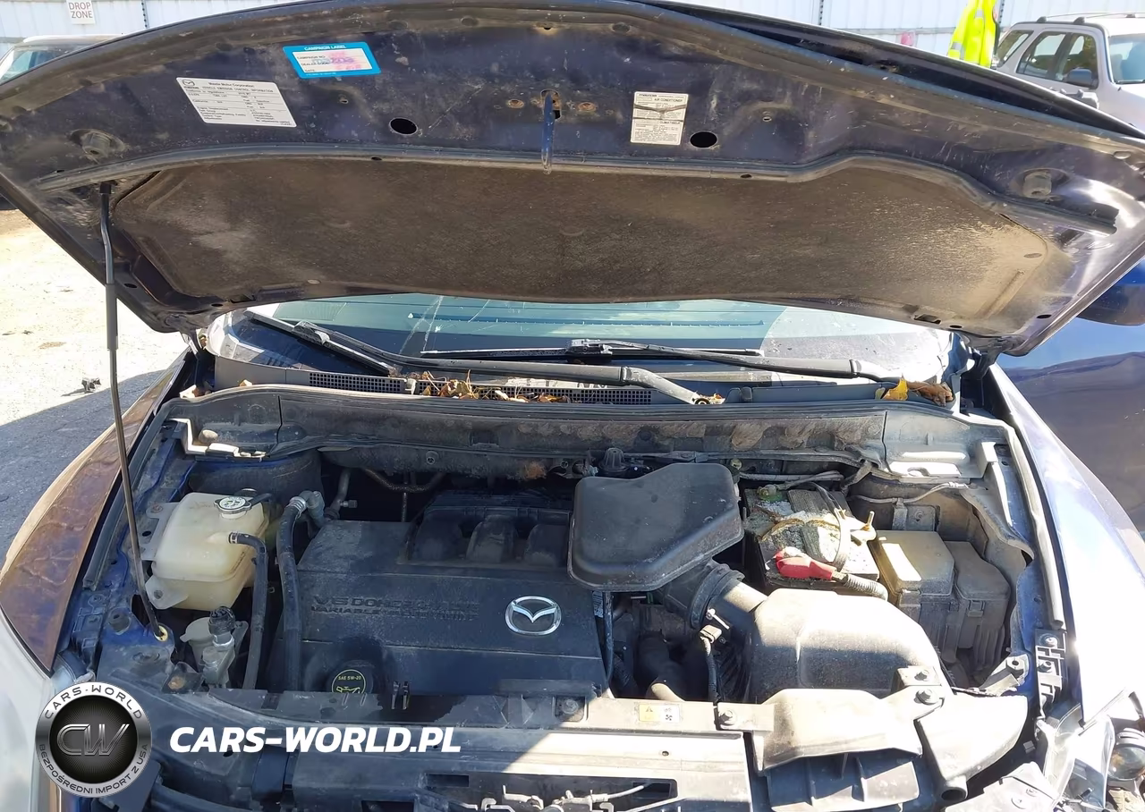 2010 Mazda Cx-9 Touring VIN:JM3TB3MA5A0220500 - 10