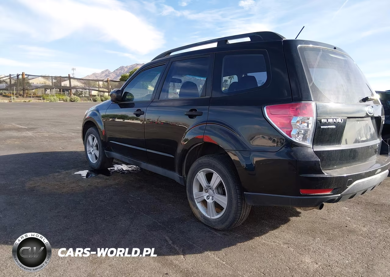 2013 Subaru Forester 2.5X VIN:JF2SHABC6DH407294 - 3