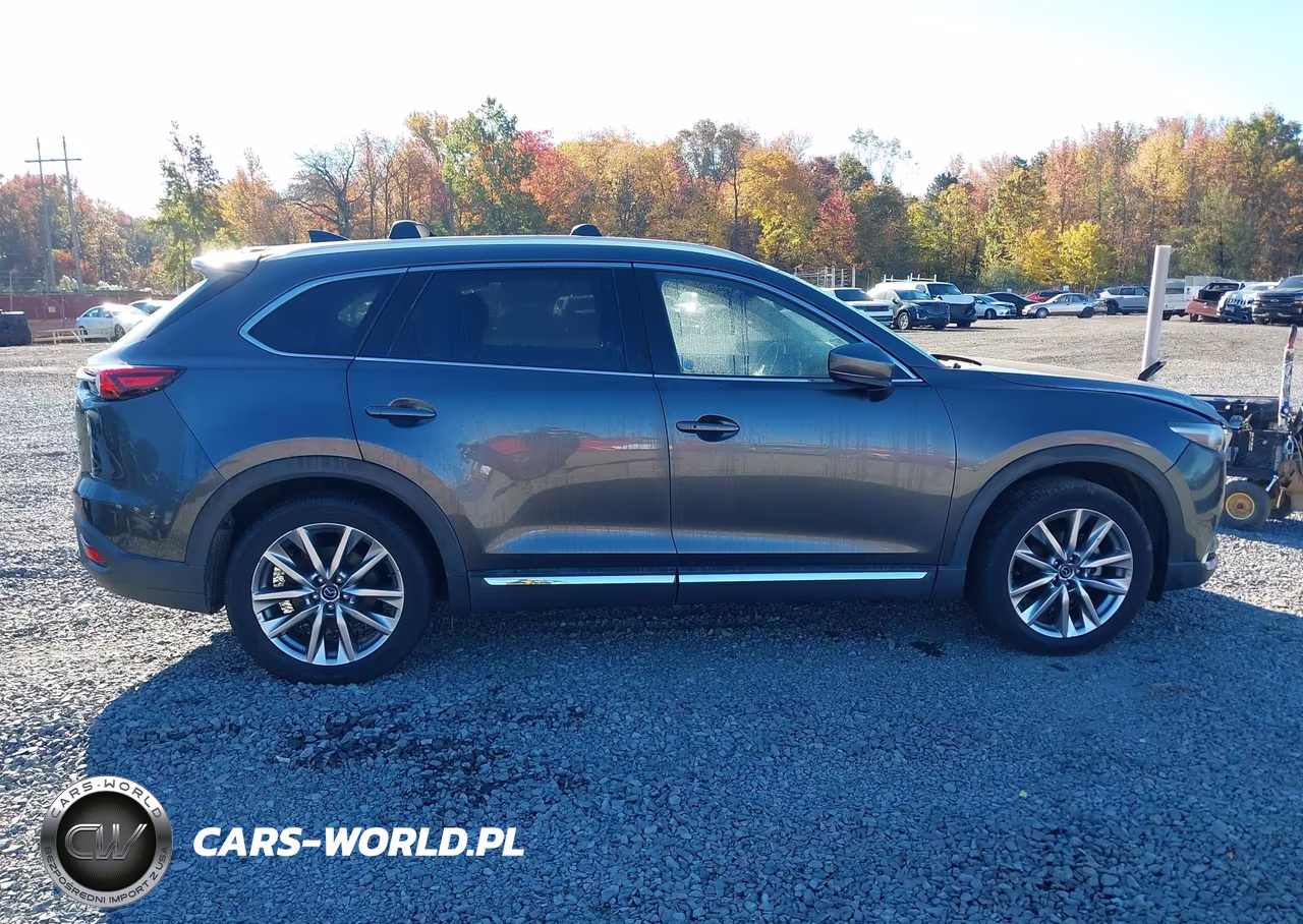 2017 Mazda Cx-9 Grand Touring VIN:JM3TCBDY8H0140557 - 13