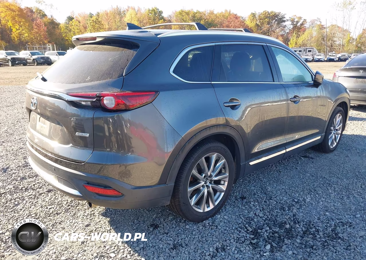 2017 Mazda Cx-9 Grand Touring VIN:JM3TCBDY8H0140557 - 4