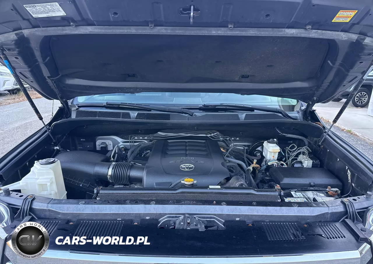 2016 Toyota Tundra Sr5 5.7L V8 VIN:5TFUY5F12GX517924 - 10