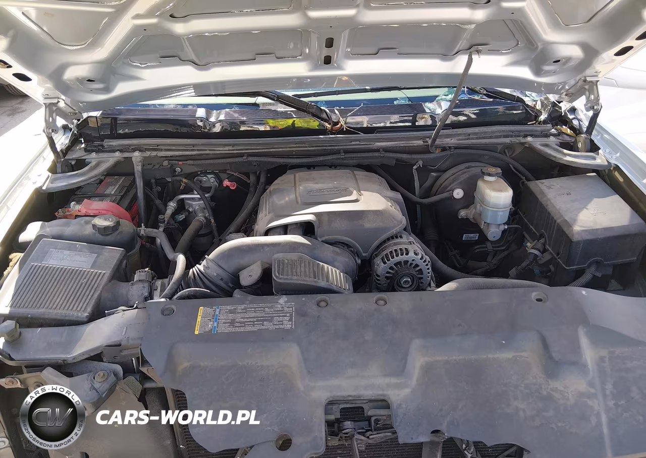 2009 Chevrolet Silverado 1500 Lt VIN:1GCEC29C19Z271874 - 10