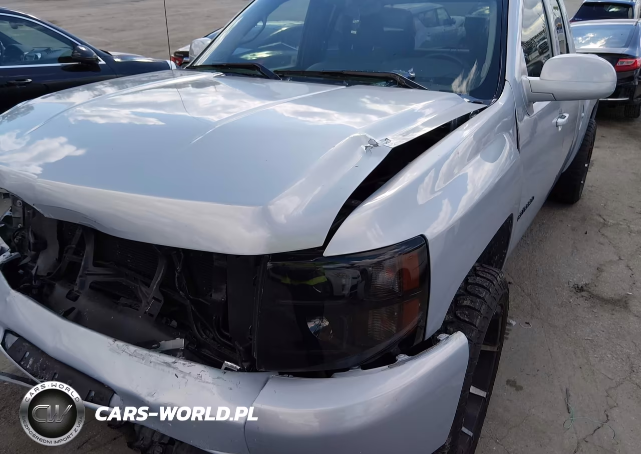 2009 Chevrolet Silverado 1500 Lt VIN:1GCEC29C19Z271874 - 12