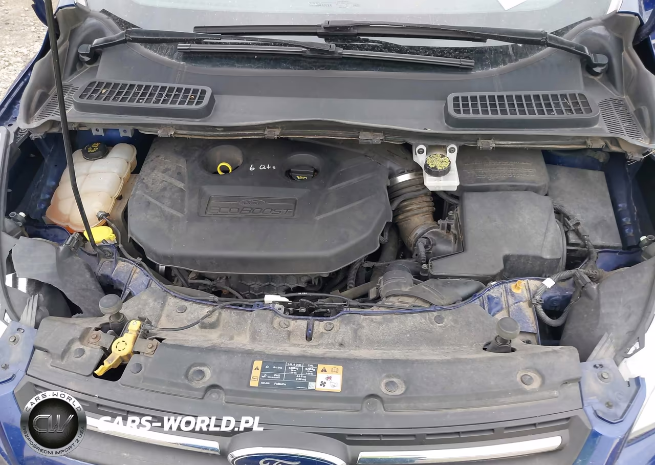 2014 Ford Escape Se VIN:1FMCU9G99EUB41154 - 10