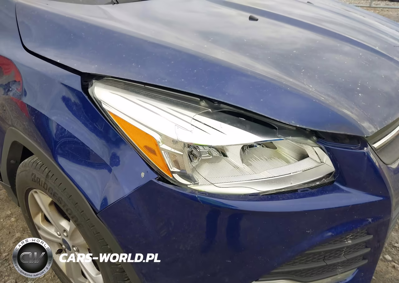 2014 Ford Escape Se VIN:1FMCU9G99EUB41154 - 12