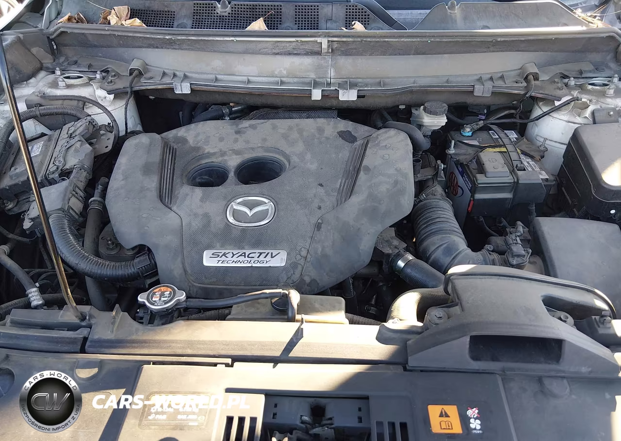 2016 Mazda Cx-9 Touring VIN:JM3TCBCY1G0100255 - 10