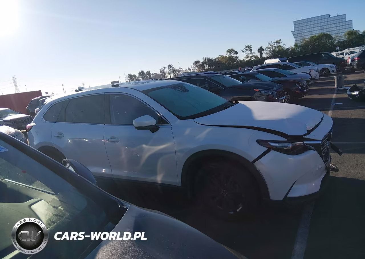 2016 Mazda Cx-9 Touring VIN:JM3TCBCY1G0100255 - 13