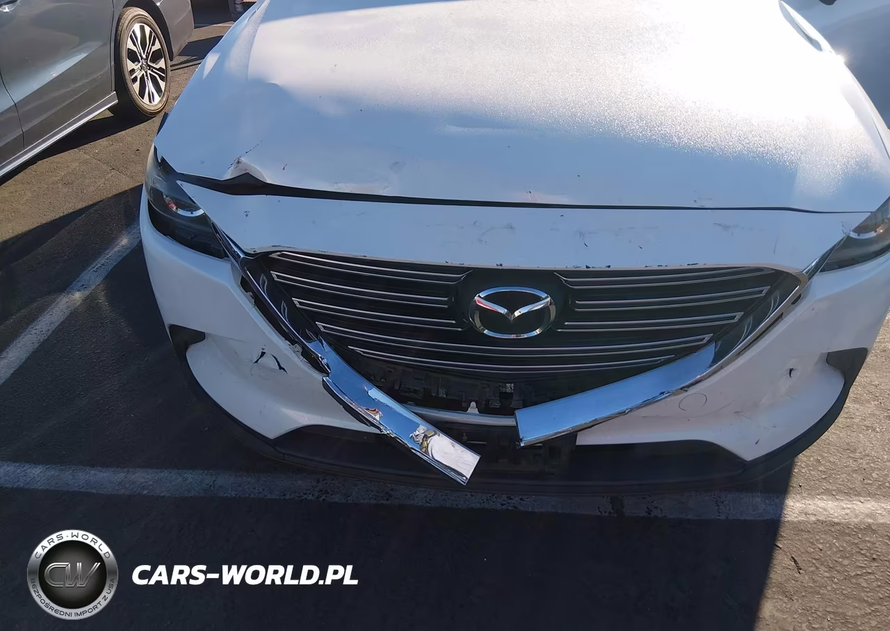 2016 Mazda Cx-9 Touring VIN:JM3TCBCY1G0100255 - 6