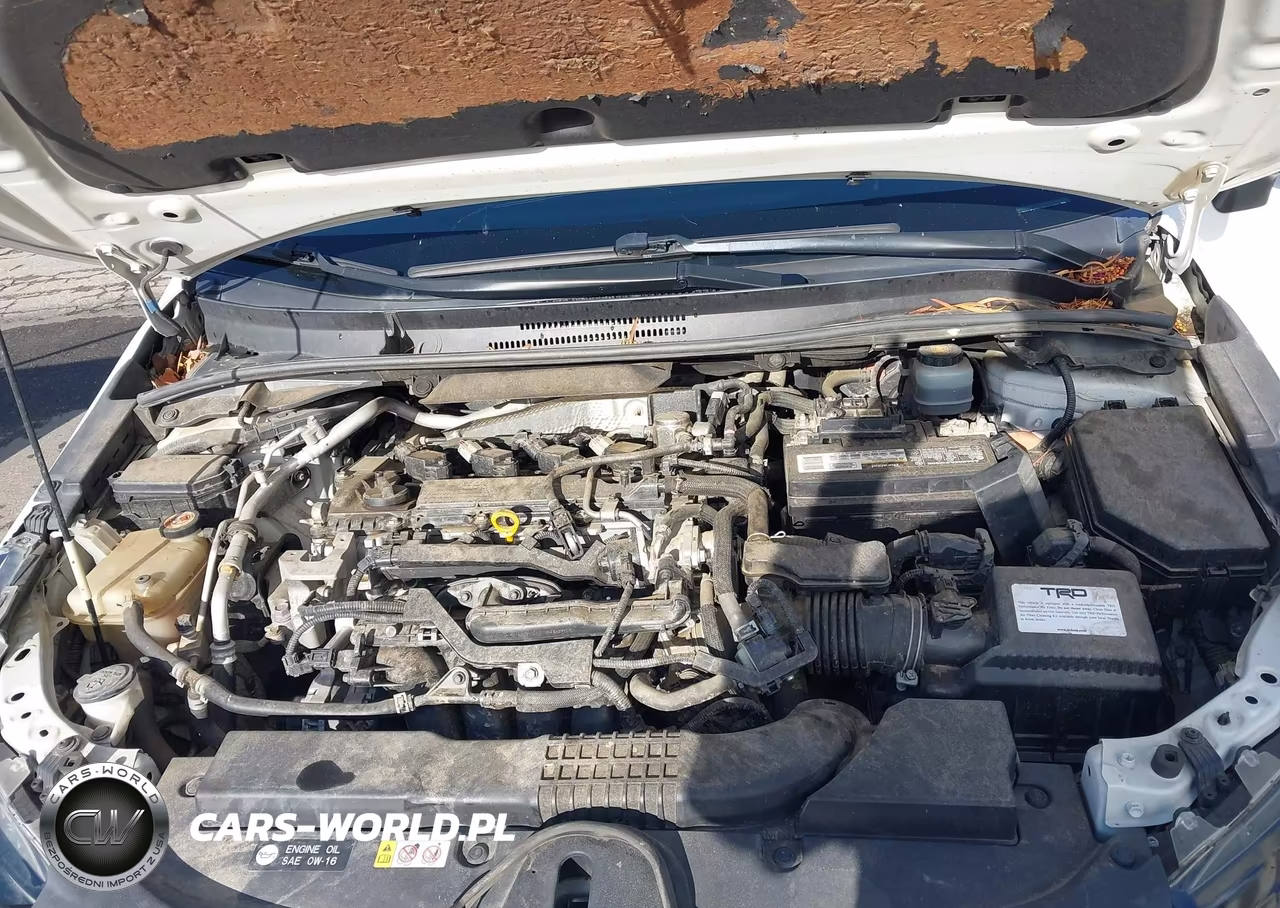 2019 Toyota Corolla Xse VIN:JTNK4RBE1K3046038 - 10
