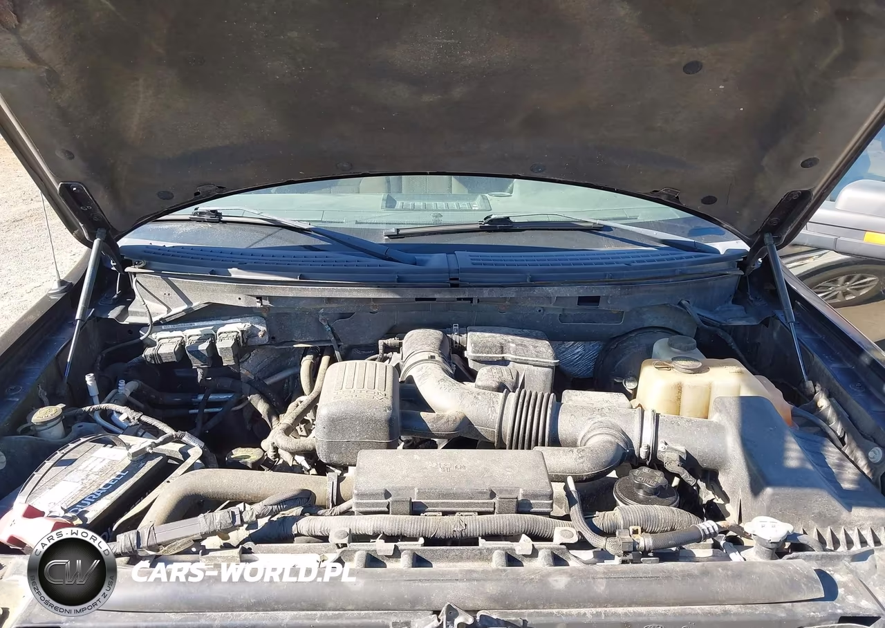 2009 Ford F-150 Fx4-Lariat-Xl-Xlt VIN:1FTPX14V09FA90878 - 10