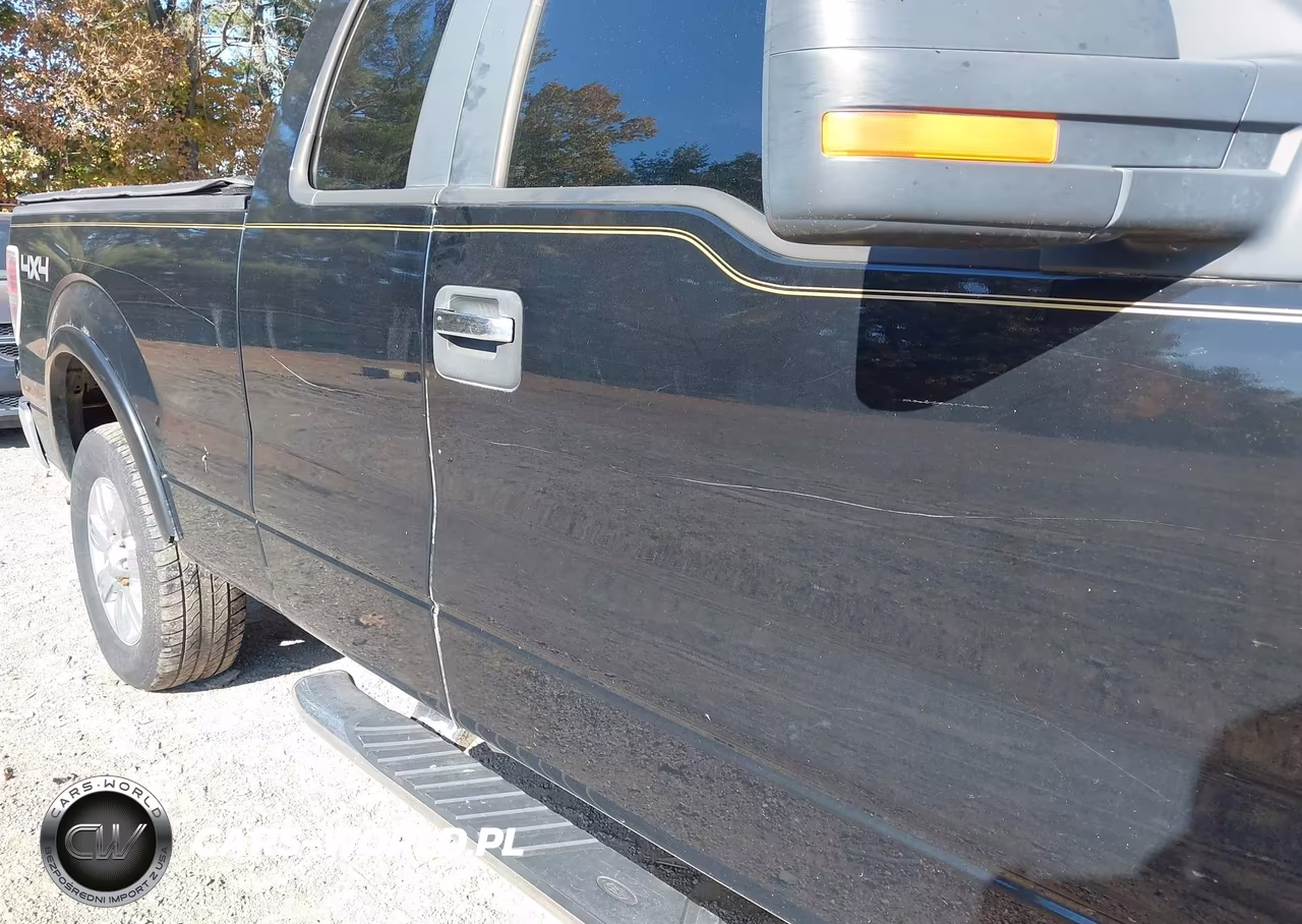 2009 Ford F-150 Fx4-Lariat-Xl-Xlt VIN:1FTPX14V09FA90878 - 12
