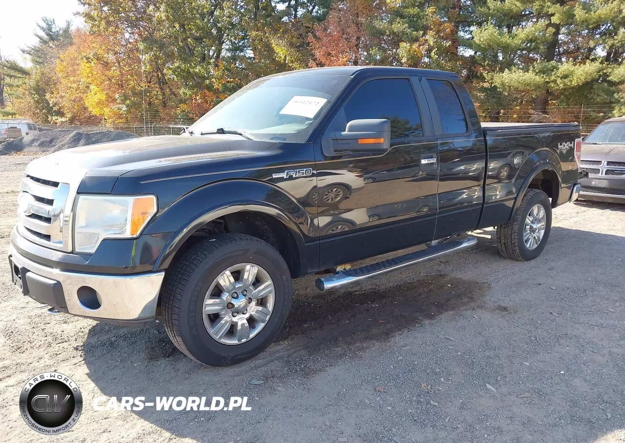 2009 Ford F-150 Fx4-Lariat-Xl-Xlt VIN:1FTPX14V09FA90878 - 2