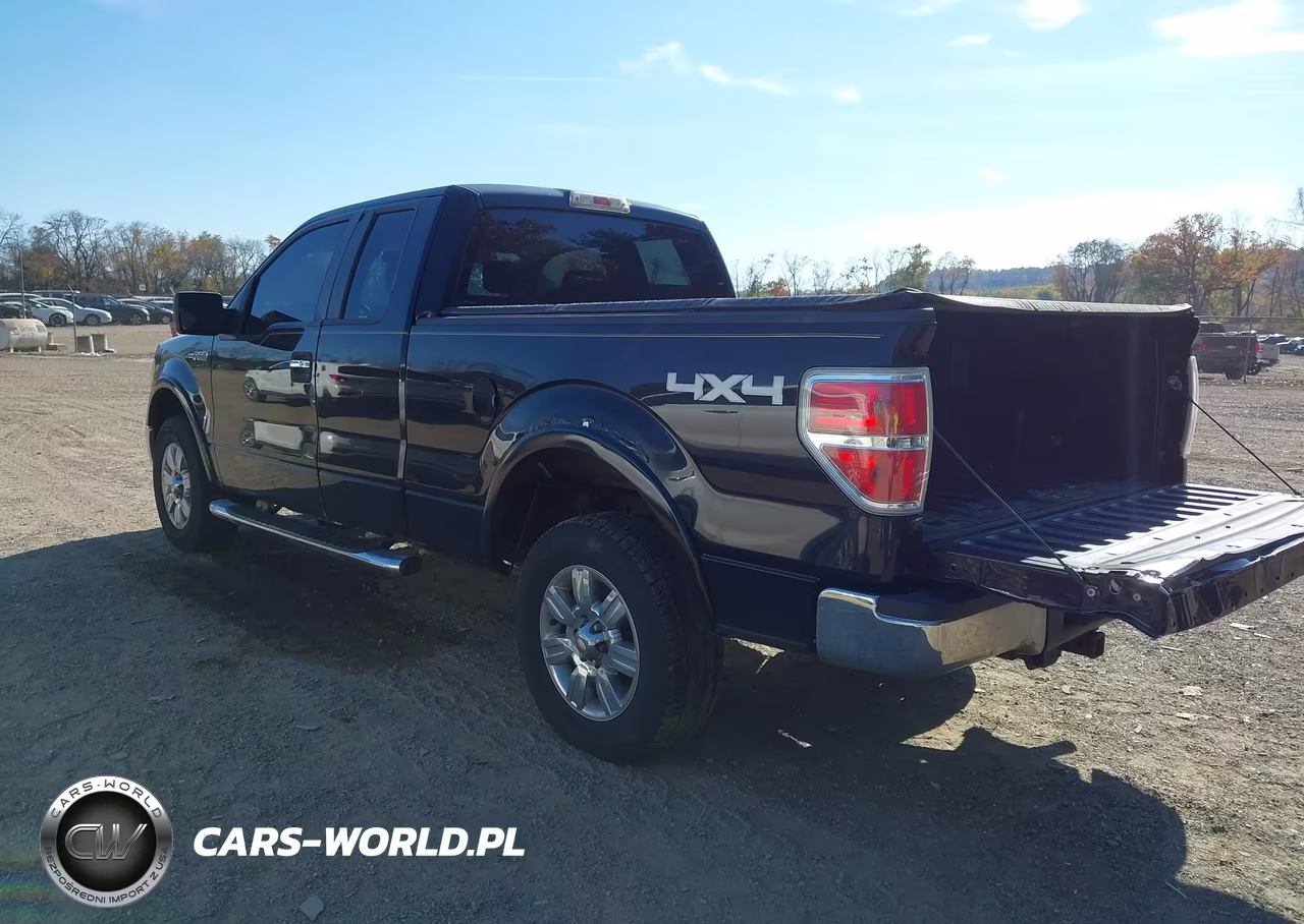 2009 Ford F-150 Fx4-Lariat-Xl-Xlt VIN:1FTPX14V09FA90878 - 3