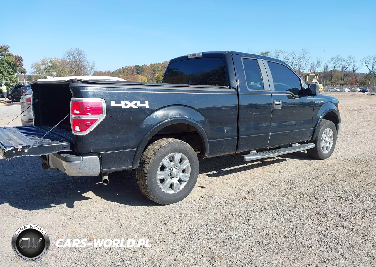 2009 Ford F-150 Fx4-Lariat-Xl-Xlt VIN:1FTPX14V09FA90878 - 4