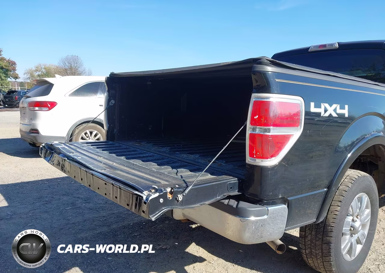 2009 Ford F-150 Fx4-Lariat-Xl-Xlt VIN:1FTPX14V09FA90878 - 6