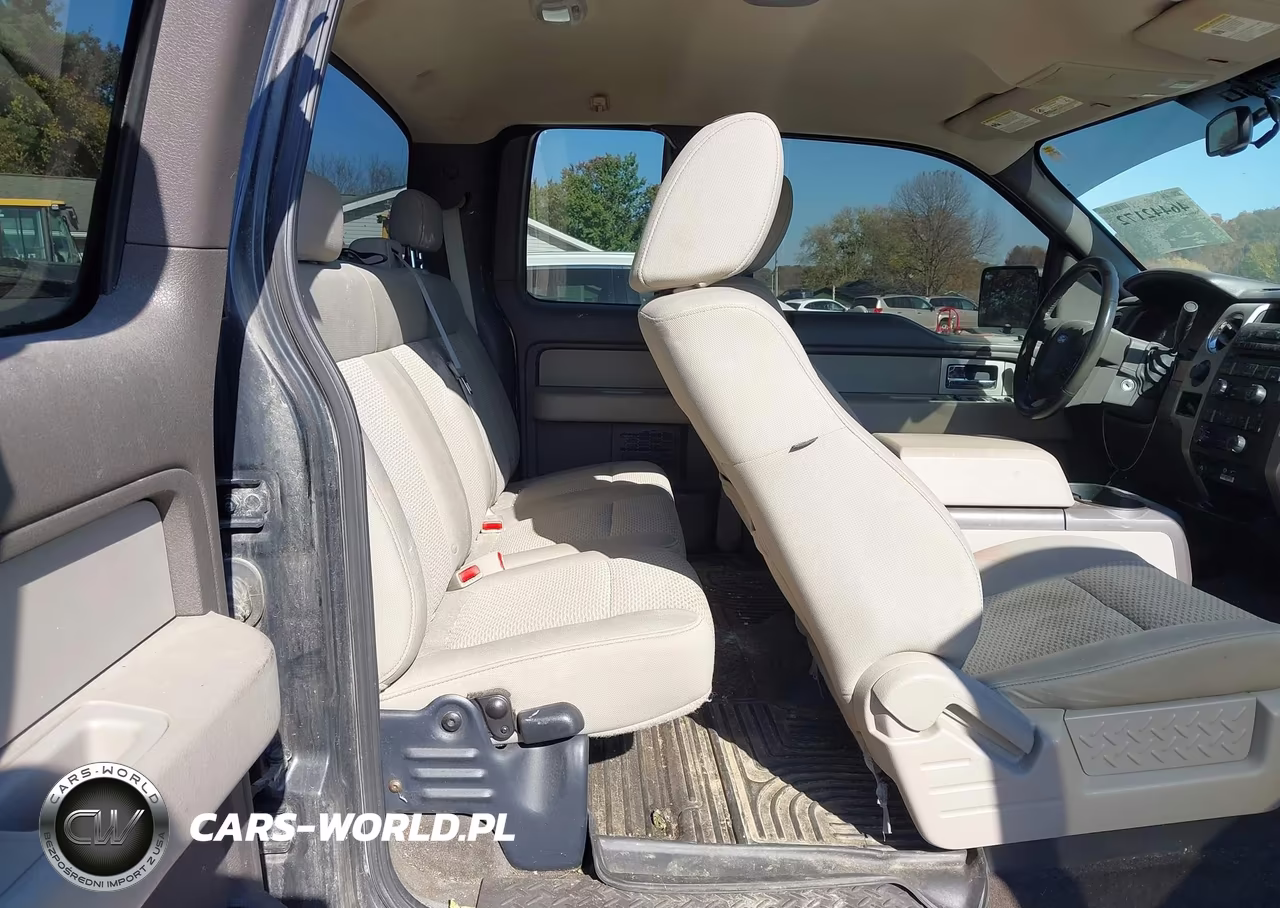 2009 Ford F-150 Fx4-Lariat-Xl-Xlt VIN:1FTPX14V09FA90878 - 8