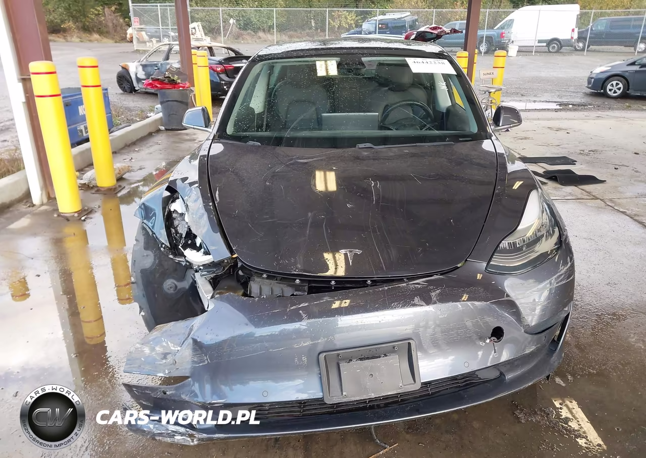 2020 Tesla Model 3 Standard Range Plus Rear-Wheel Drive-Standard Range Rear-Wheel Drive VIN:5YJ3E1EA2LF736613 - 11