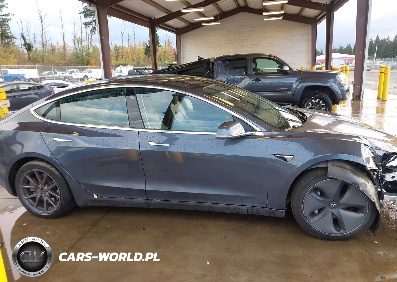 2020 Tesla Model 3 Standard Range Plus Rear-Wheel Drive-Standard Range Rear-Wheel Drive VIN:5YJ3E1EA2LF736613 - 12