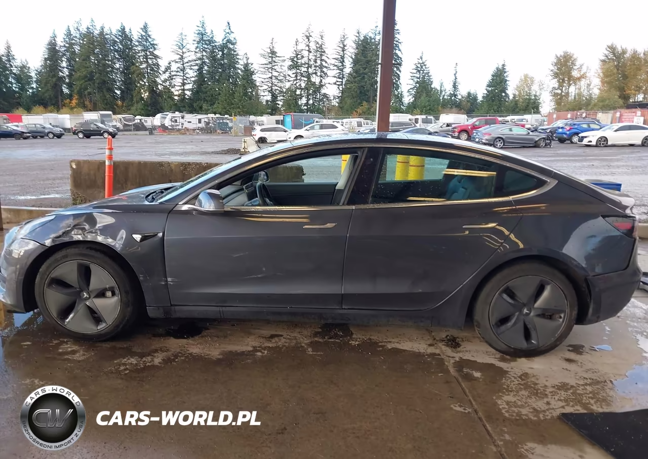2020 Tesla Model 3 Standard Range Plus Rear-Wheel Drive-Standard Range Rear-Wheel Drive VIN:5YJ3E1EA2LF736613 - 13
