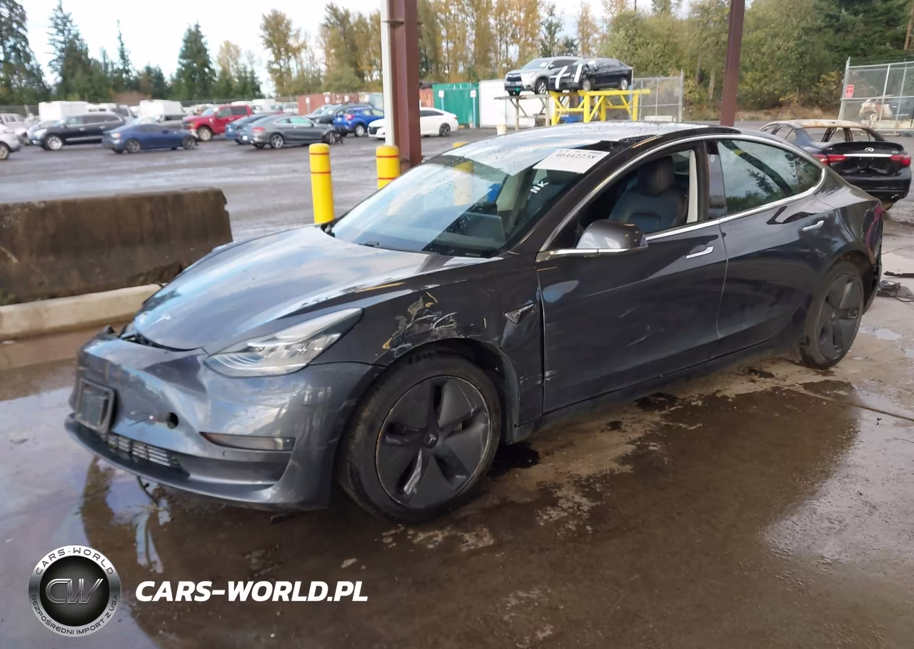 2020 Tesla Model 3 Standard Range Plus Rear-Wheel Drive-Standard Range Rear-Wheel Drive VIN:5YJ3E1EA2LF736613 - 2