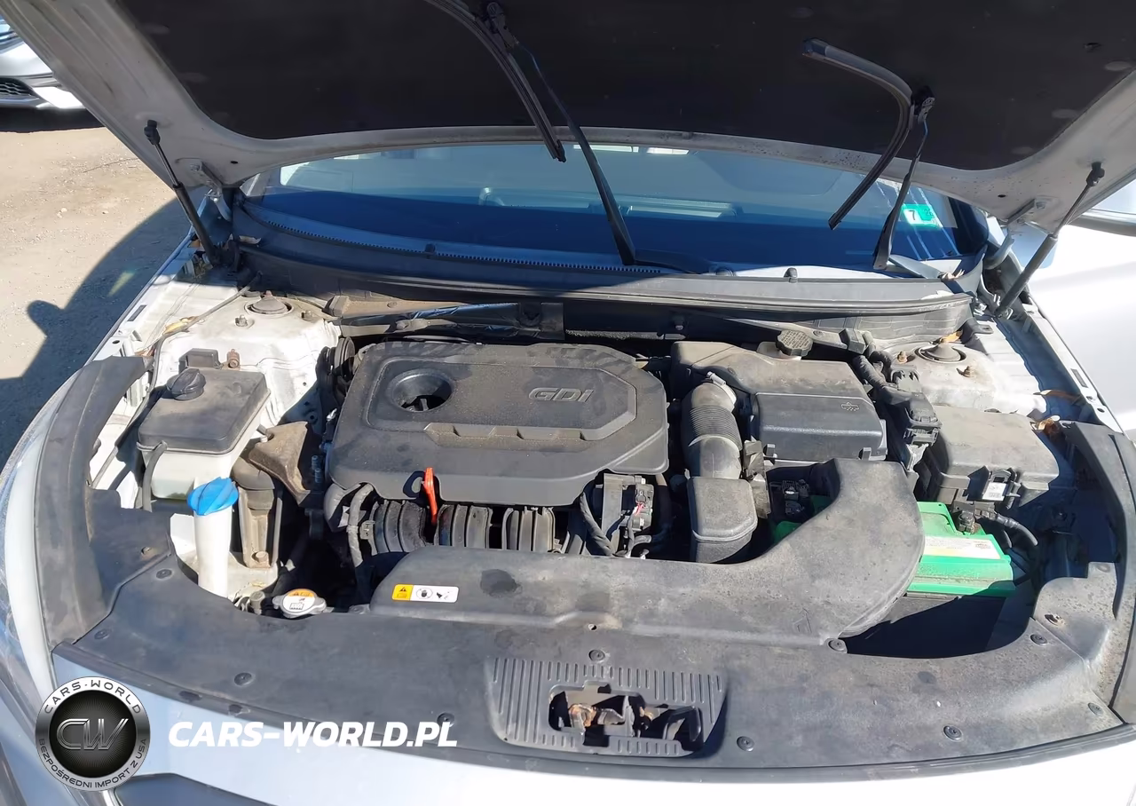 2015 Hyundai Sonata Sport VIN:5NPE34AF8FH064466 - 10