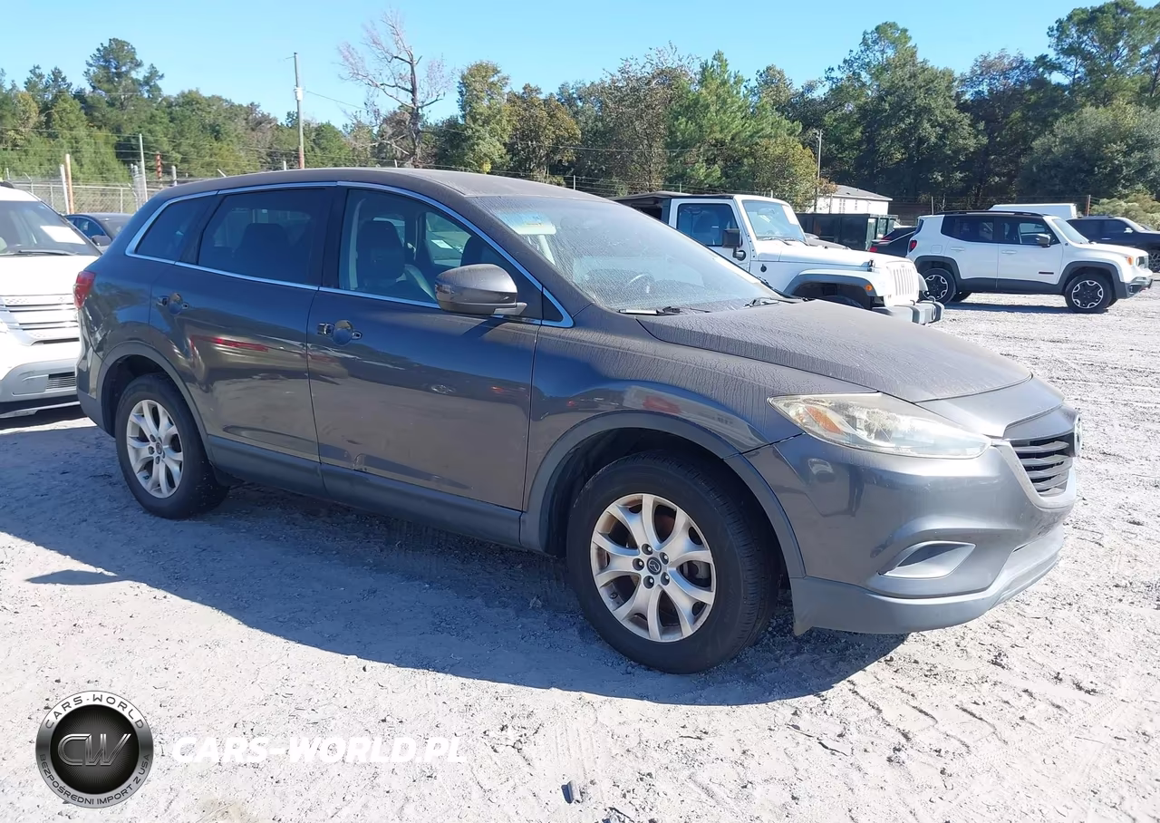 2013 Mazda Cx-9 Touring VIN:JM3TB2CA2D0404924 - 1