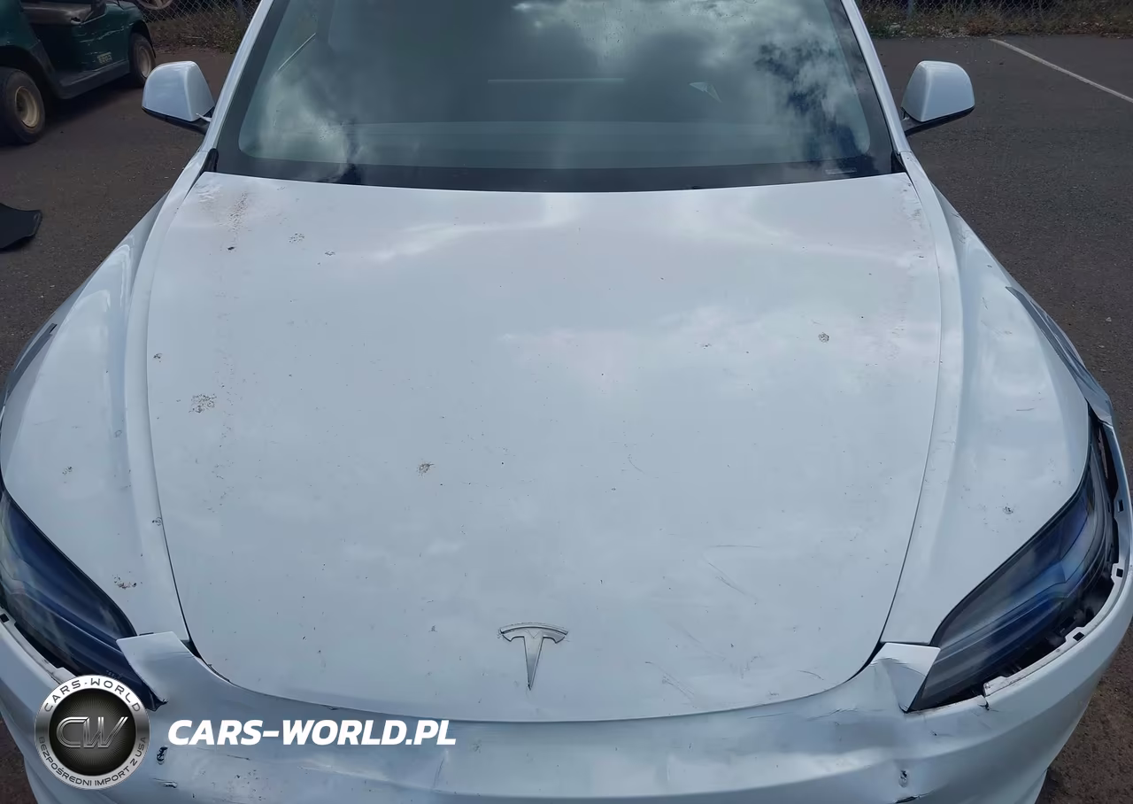 2025 Tesla Model 3 Long Range All-Wheel Drive VIN:5YJ3E1EB3SF049096 - 10