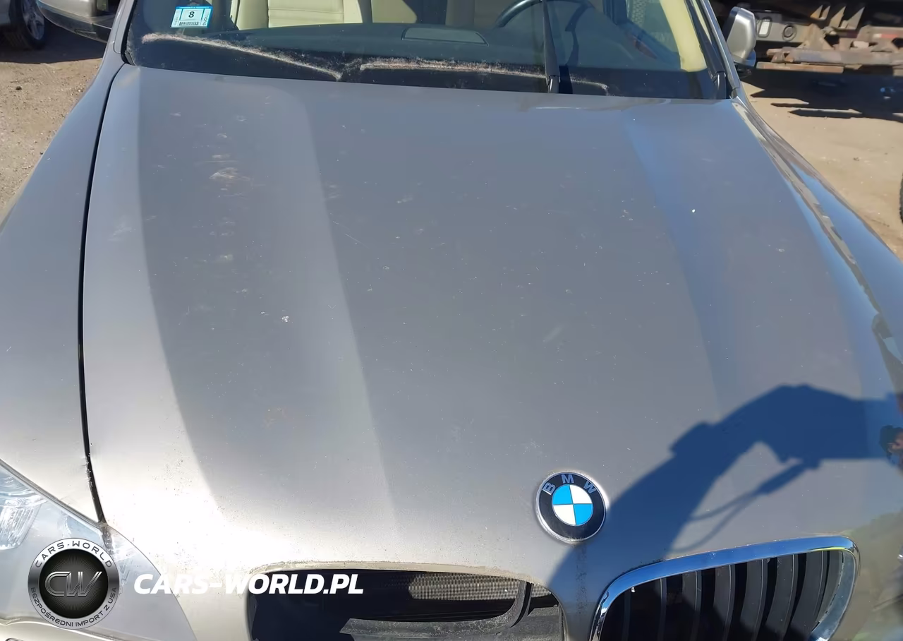 2012 BMW X5 xDrive35I-xDrive35I Premium-xDrive35I Sport Activity VIN:5UXZV4C5XCL758713 - 10