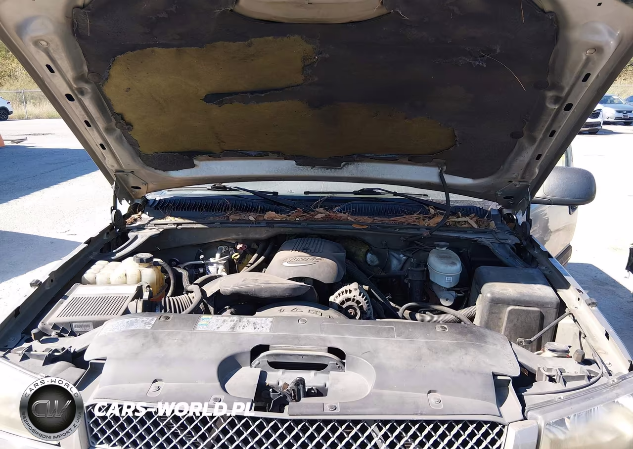 2003 Chevrolet Silverado 1500 Ls VIN:2GCEC19V031341442 - 10