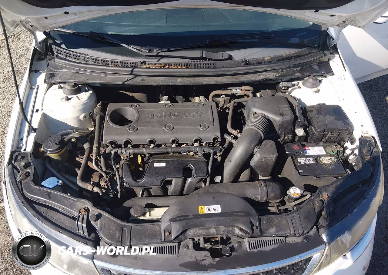 2013 Kia Forte Ex VIN:KNAFU4A21D5716210 - 10