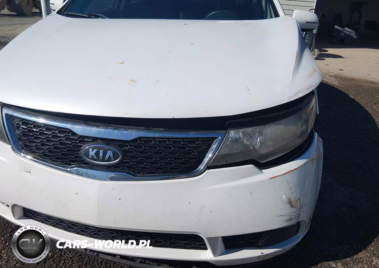 2013 Kia Forte Ex VIN:KNAFU4A21D5716210 - 17
