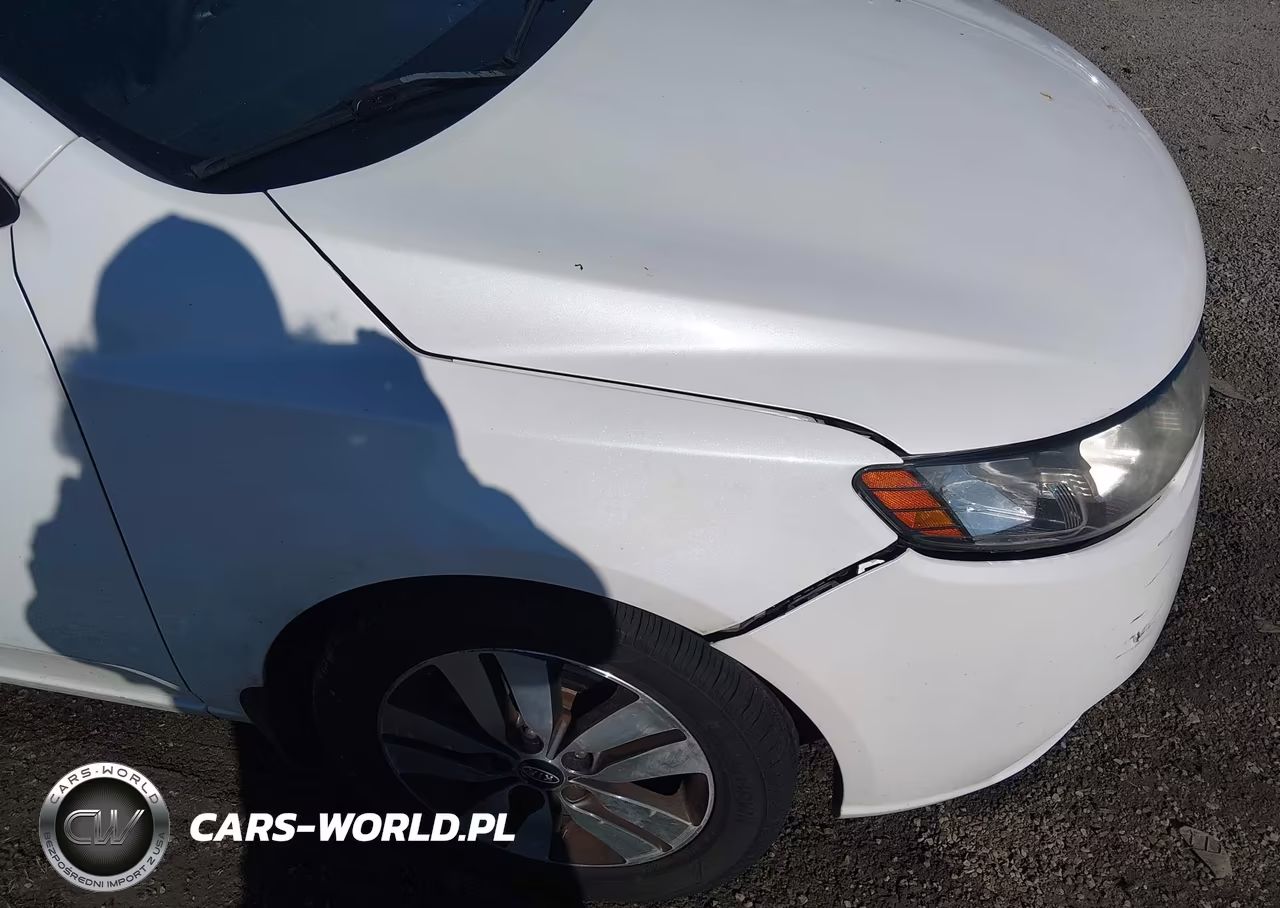 2013 Kia Forte Ex VIN:KNAFU4A21D5716210 - 18
