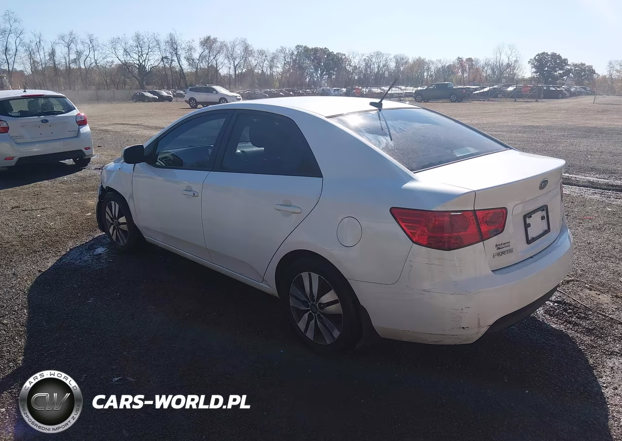 2013 Kia Forte Ex VIN:KNAFU4A21D5716210 - 3