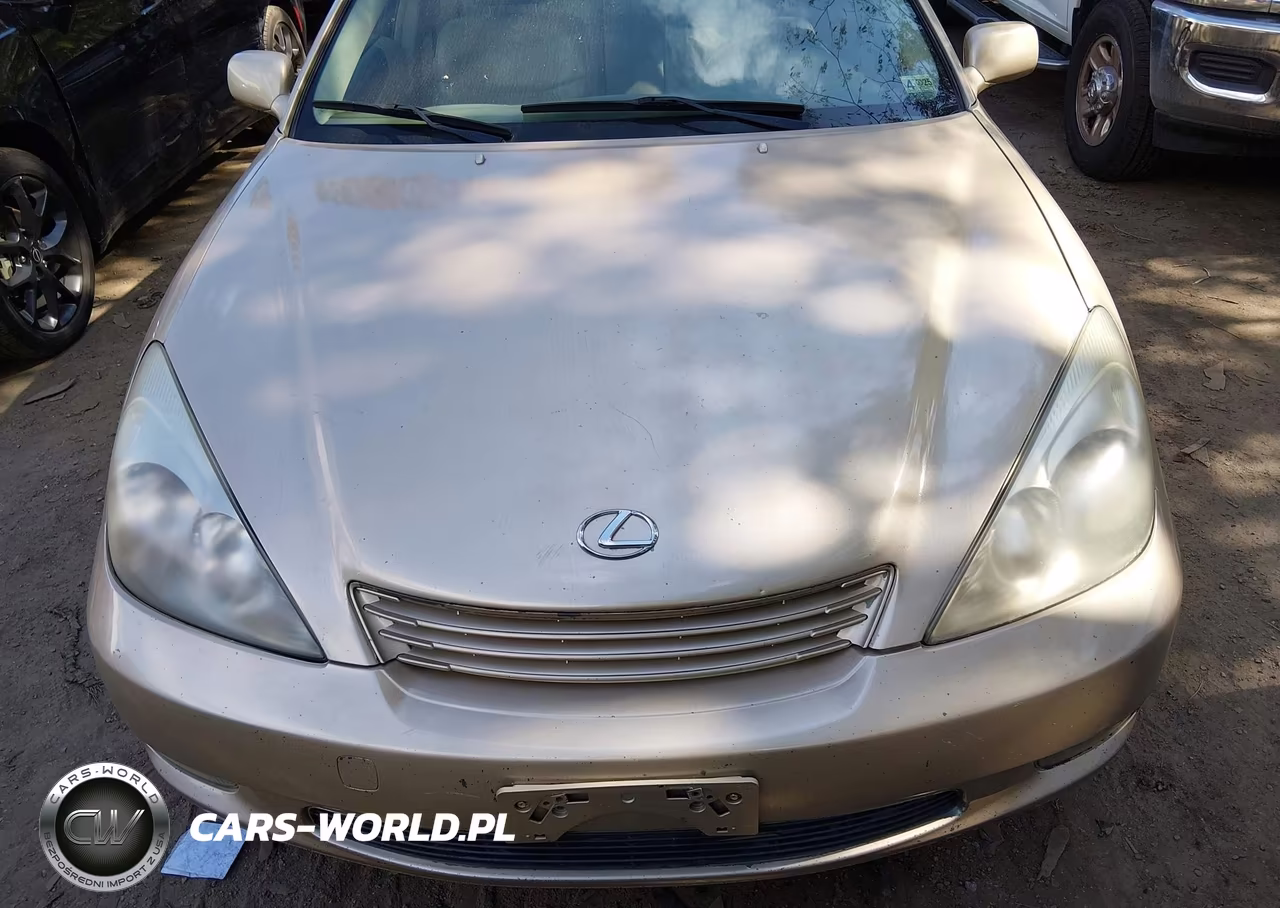2004 Lexus Es 330 VIN:JTHBA30G440015965 - 6