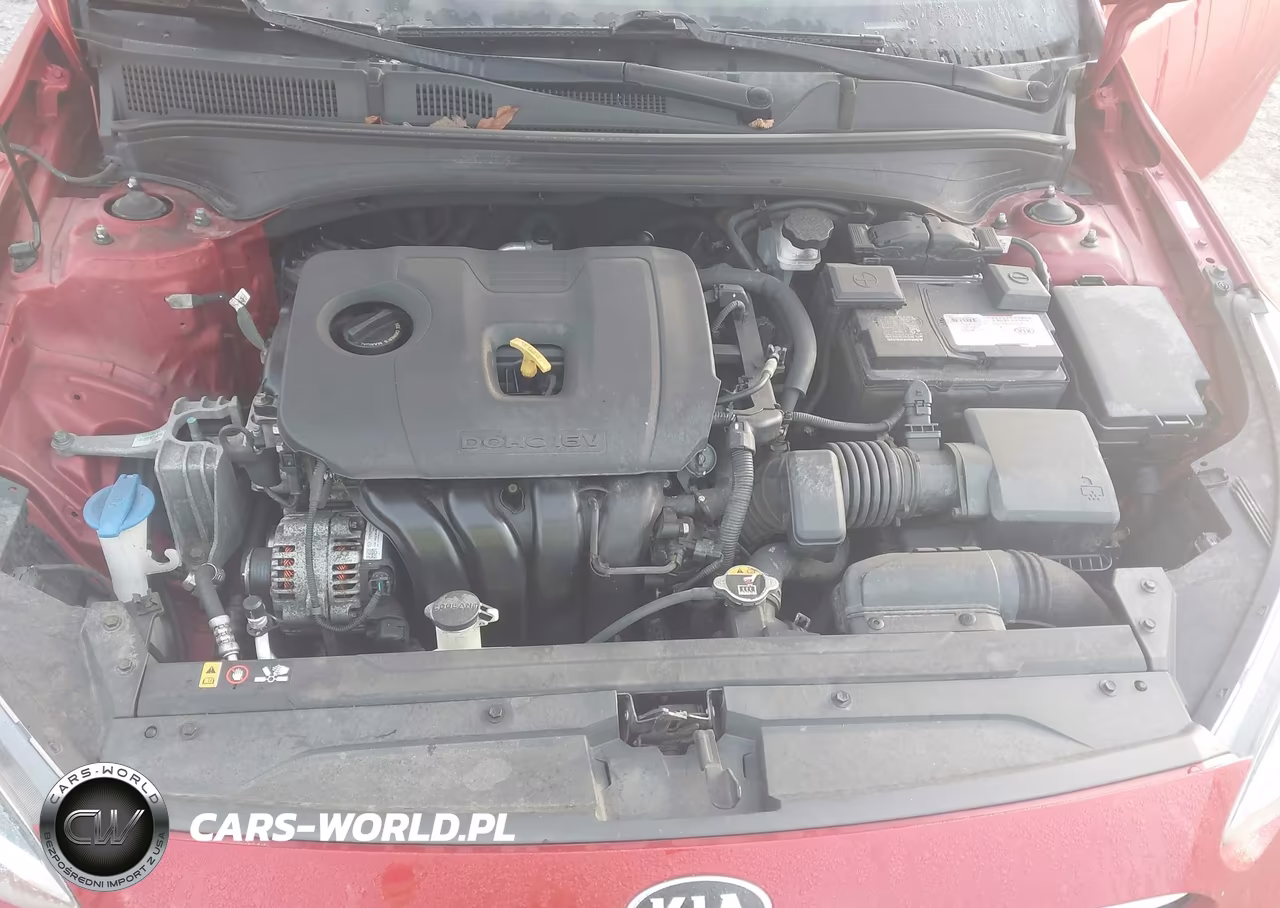2019 Kia Forte Lxs VIN:3KPF24AD1KE098642 - 10