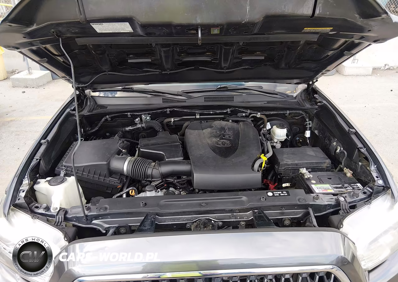 2019 Toyota Tacoma Trd Sport VIN:3TMAZ5CNXKM111010 - 10