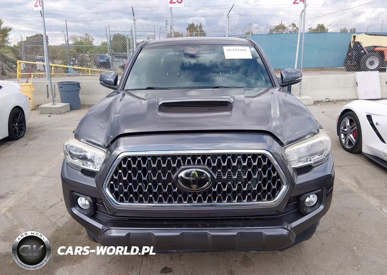 2019 Toyota Tacoma Trd Sport VIN:3TMAZ5CNXKM111010 - 12
