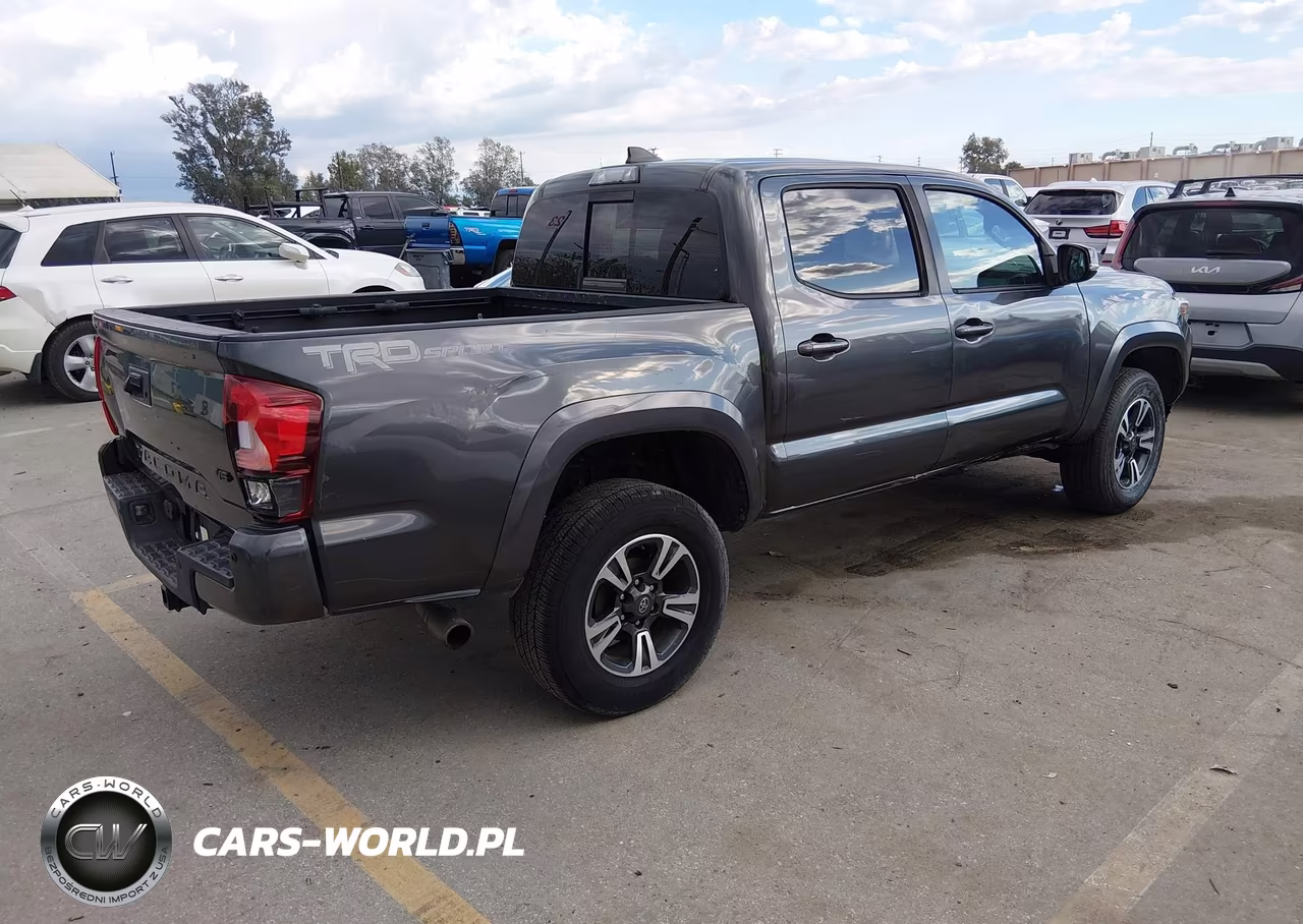 2019 Toyota Tacoma Trd Sport VIN:3TMAZ5CNXKM111010 - 4