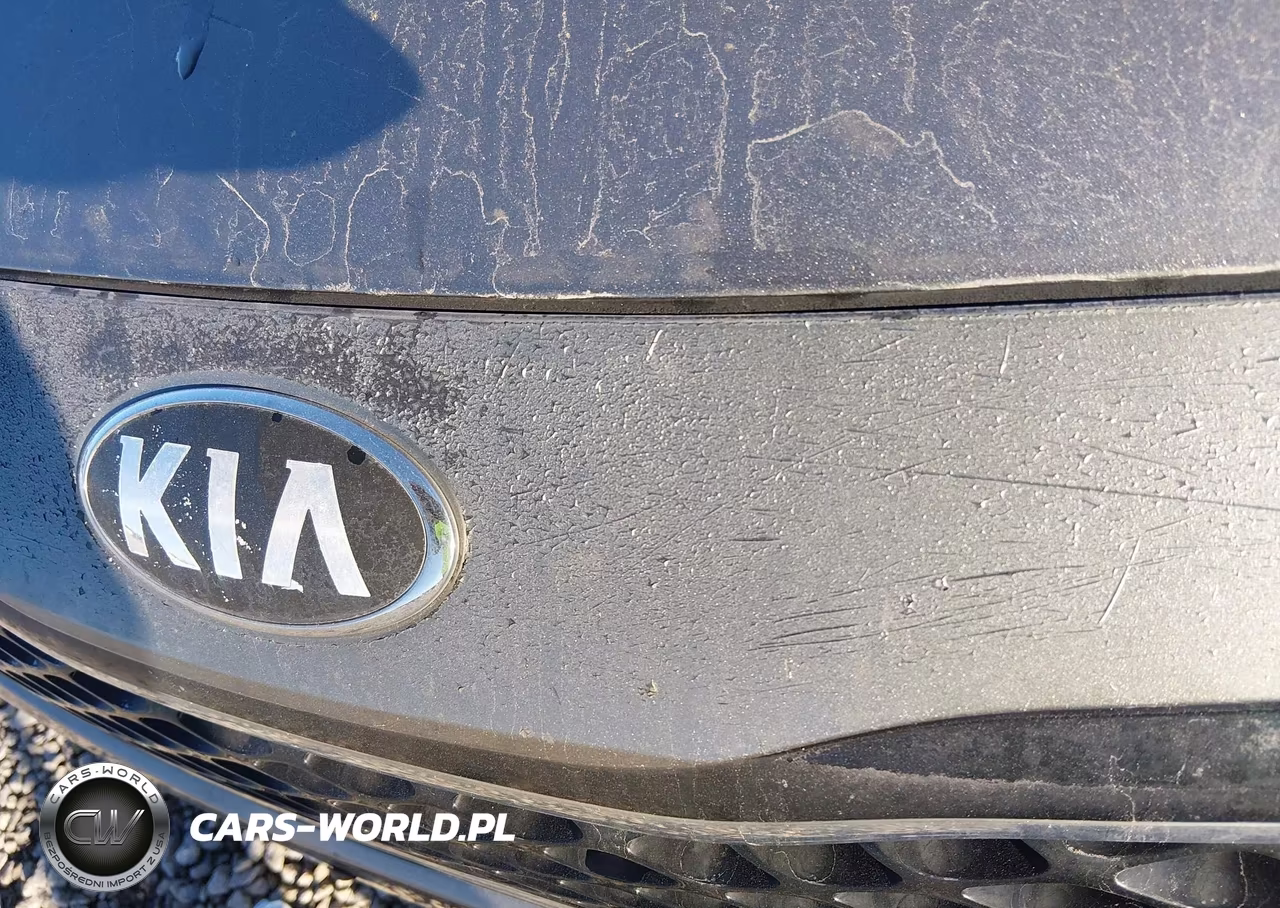 2015 Kia Optima Lx VIN:5XXGM4A73FG443854 - 13