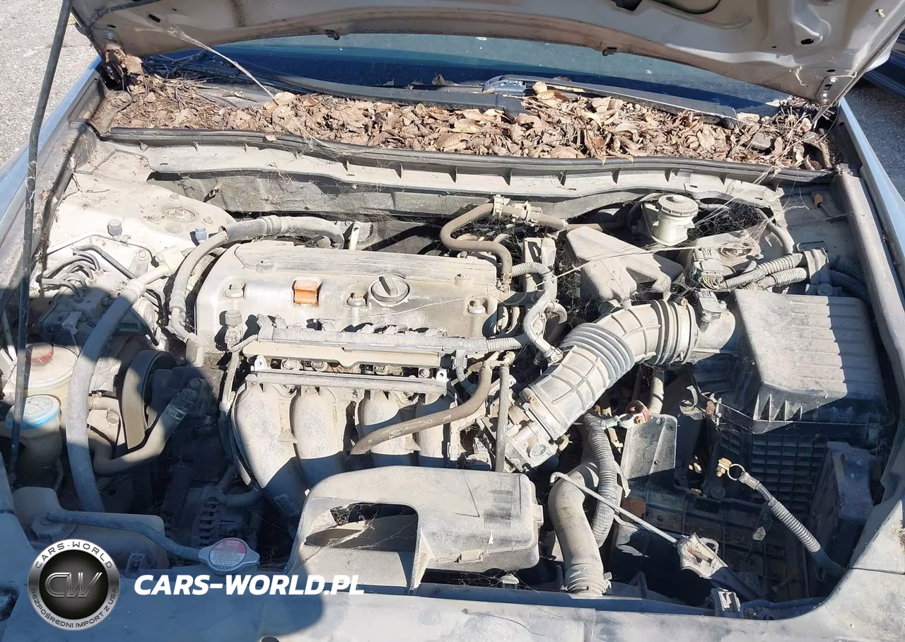 2009 Honda Accord 2.4 Lx VIN:1HGCP26379A167678 - 10