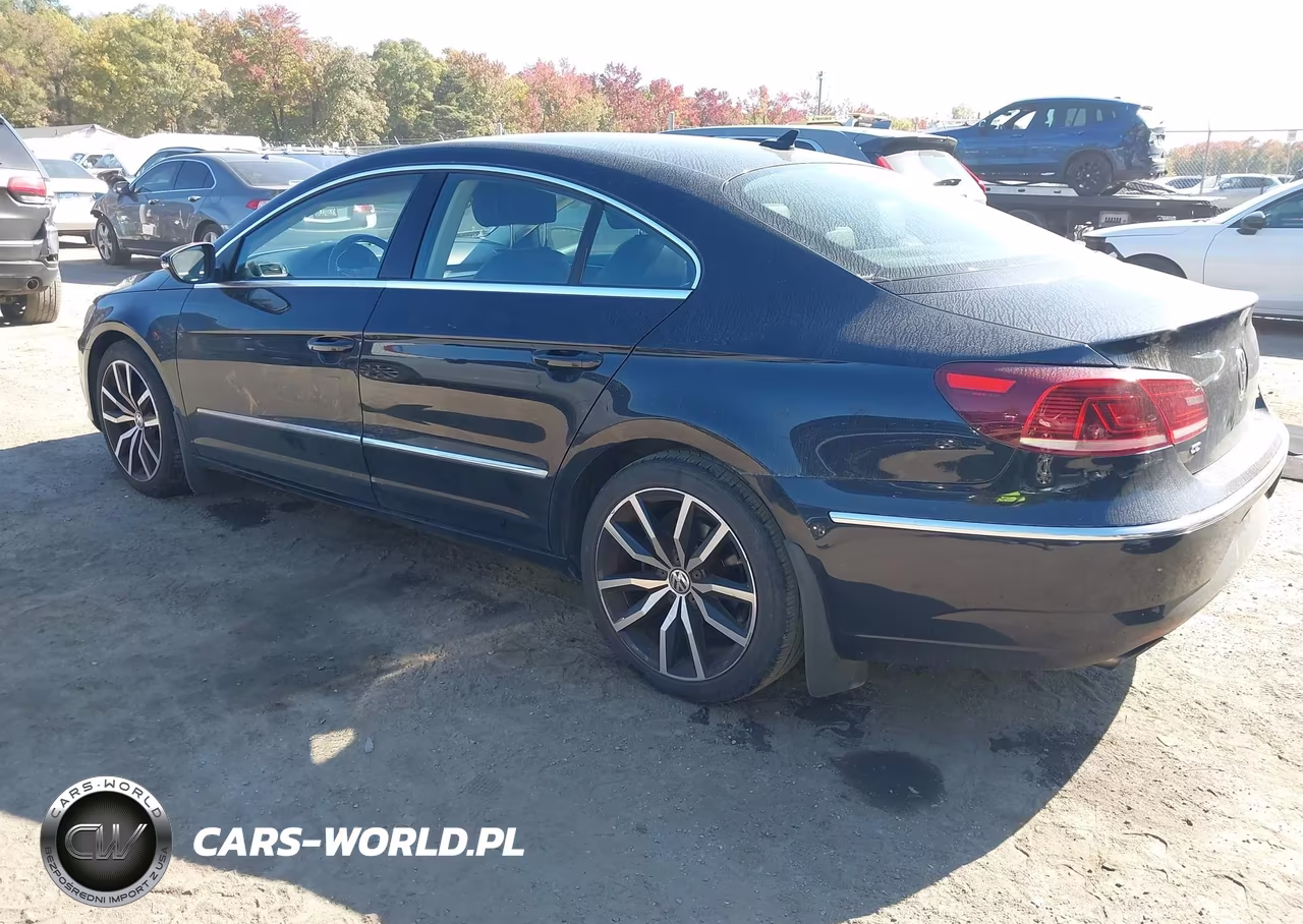 2015 Volkswagen Cc 2.0T Executive VIN:WVWRP7AN4FE829347 - 3