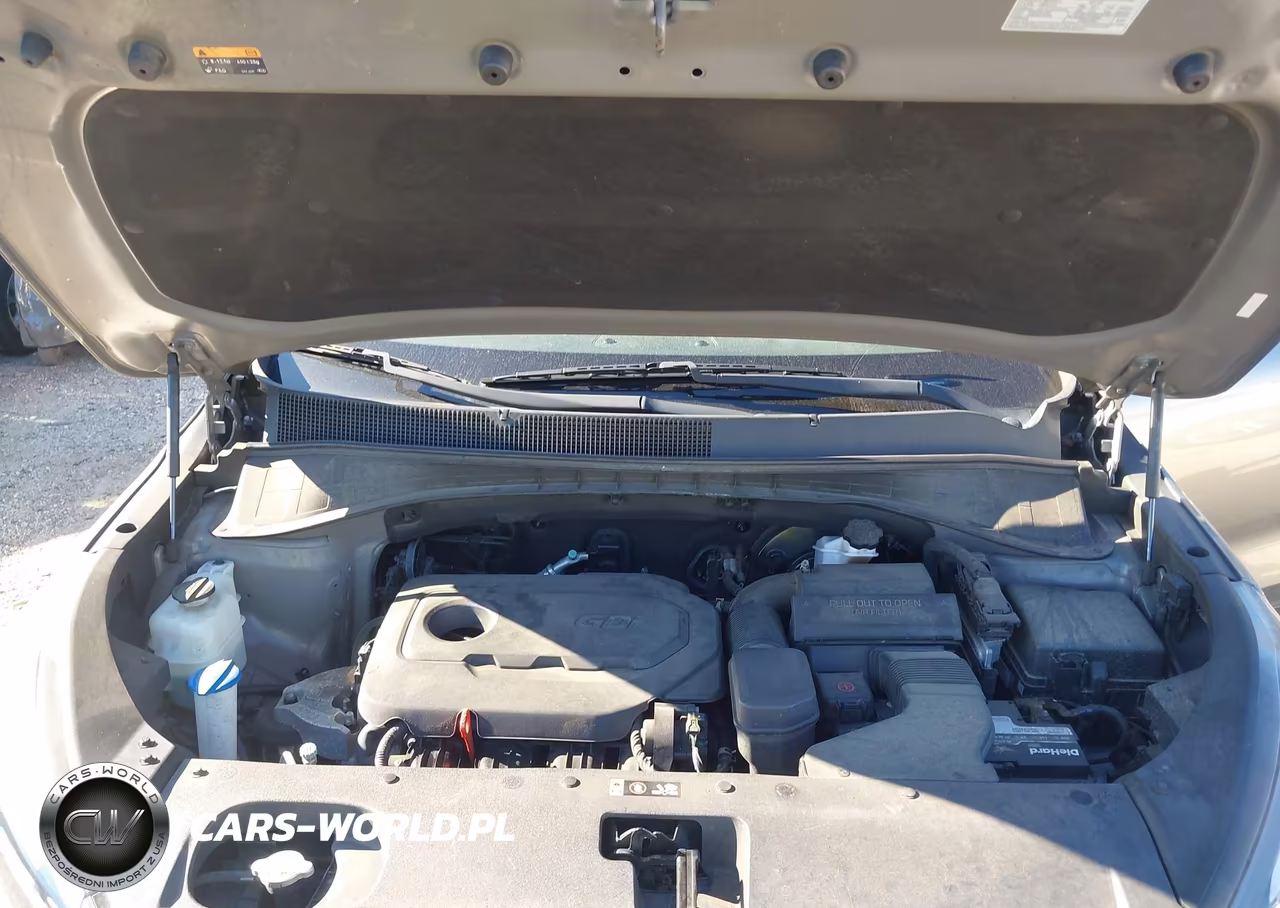 2017 Kia Sorento 2.4L Lx VIN:5XYPGDA34HG323175 - 10